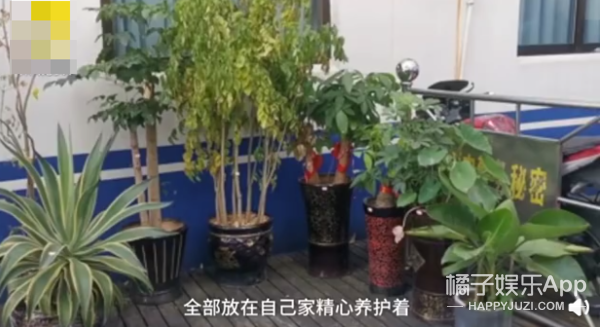 今年最沙雕的67条新闻，你能忍到哪一条？