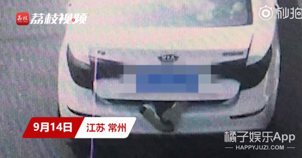 今年最沙雕的67条新闻，你能忍到哪一条？