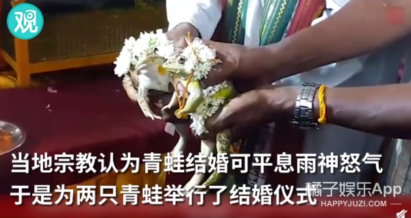 今年最沙雕的67条新闻，你能忍到哪一条？