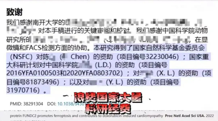 “耿同学”一人扒了学术圈的底裤