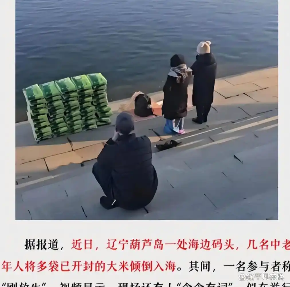 笑死我了！2025年十大奇趣新闻，个个都是高手，肯定有你未见过的