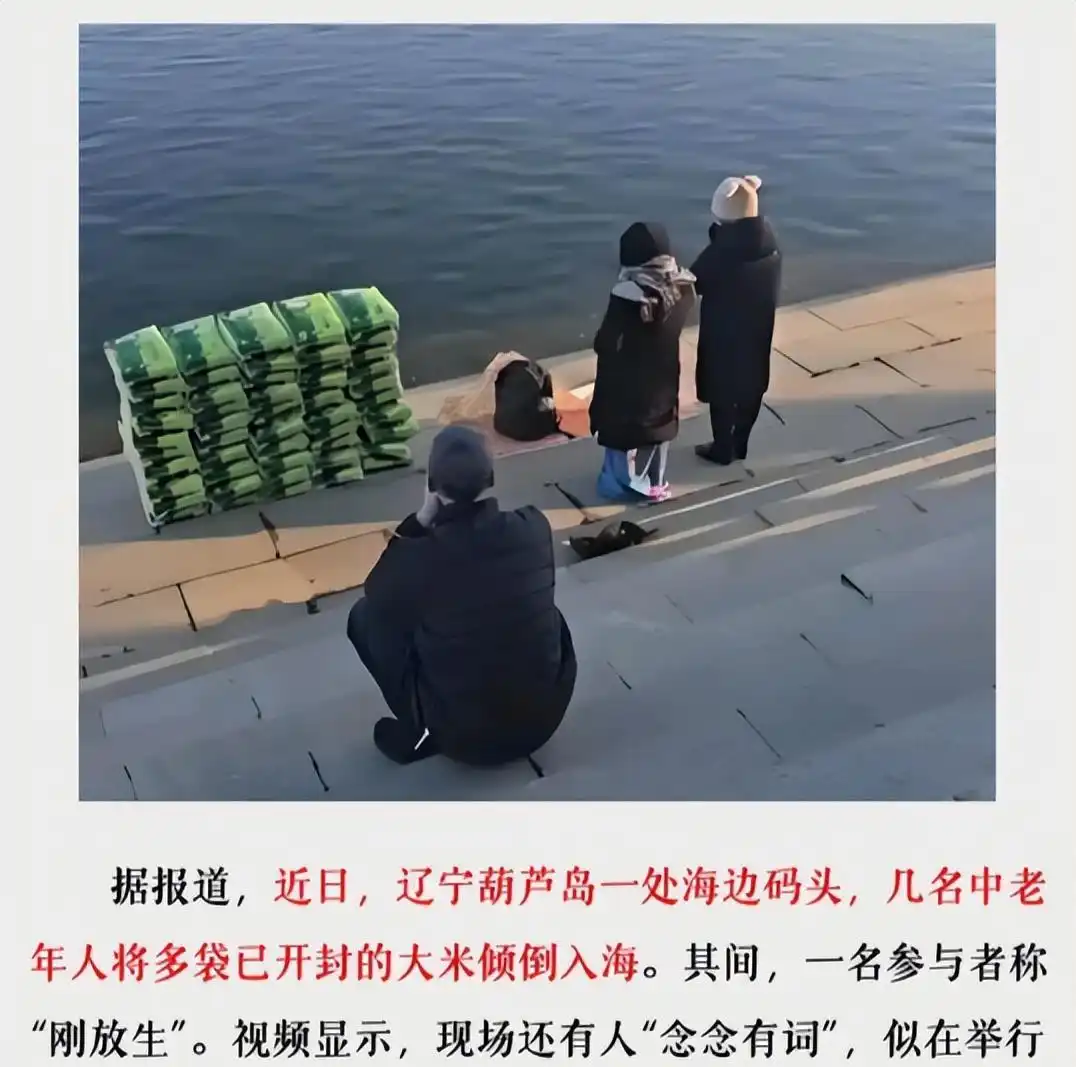 笑岔气了！2025十大怪异新闻，个个都是高手，肯定有你未曾见过的