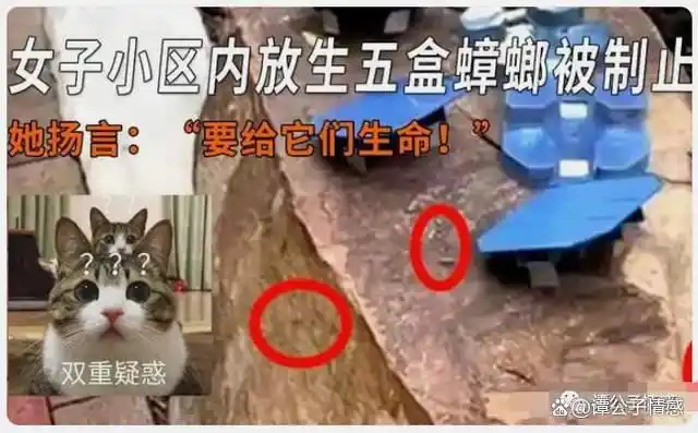回顾年度十大幽默新闻，笑不活了