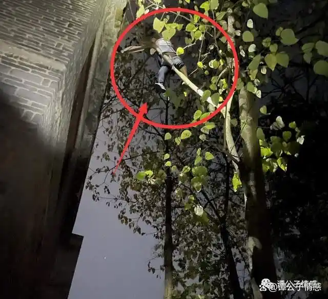 回顾年度十大幽默新闻，笑不活了