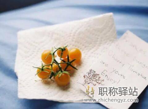ei会议论文一般多久能检索到