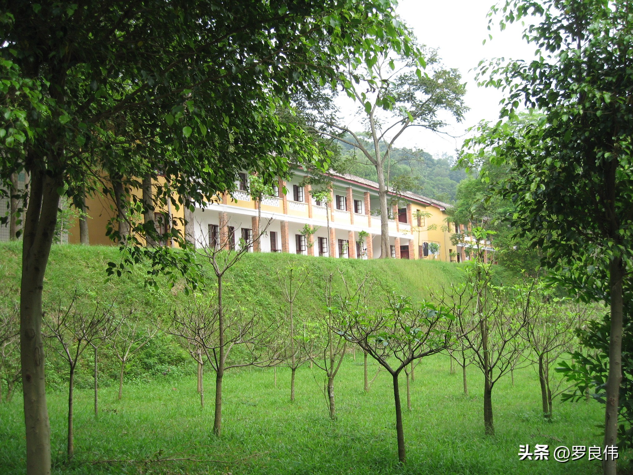 当年我在部队如何走上新闻写作之路