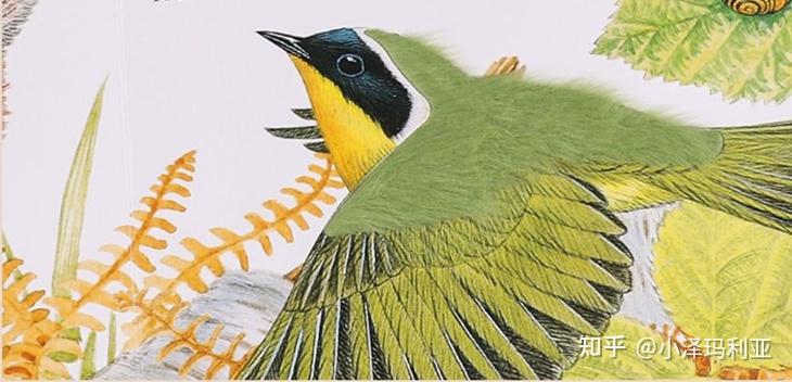 婴幼儿早教游戏有哪些？在家怎么给孩子做早教？超详细的0-3岁婴幼儿早教游戏，建议收藏备用（0~1岁）