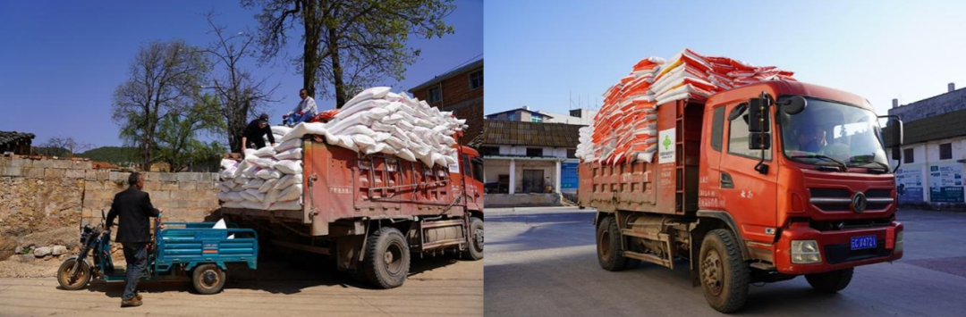 陡坡地开车隐患多，农村道路翻车坠车风险高