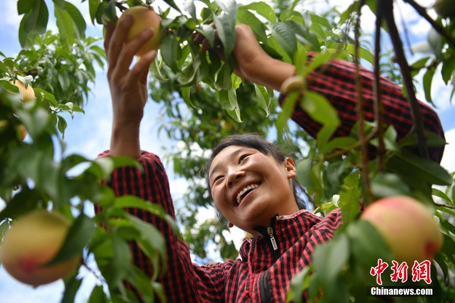 我们的家园——西藏