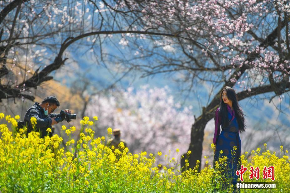 我们的家园——西藏