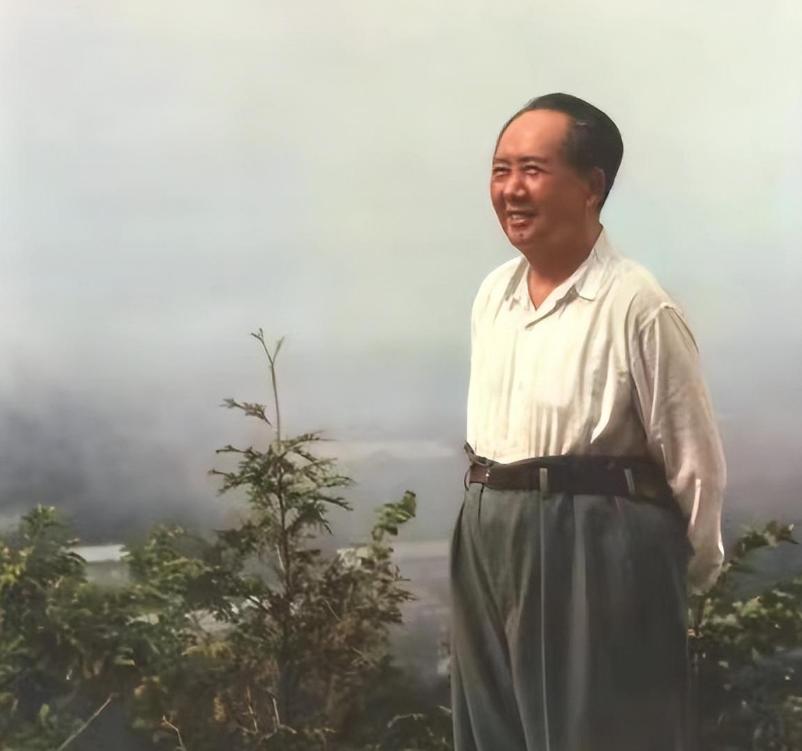 1973年杨振宁接受采访，记者：您曾说毛主席物理造诣高？杨：不是