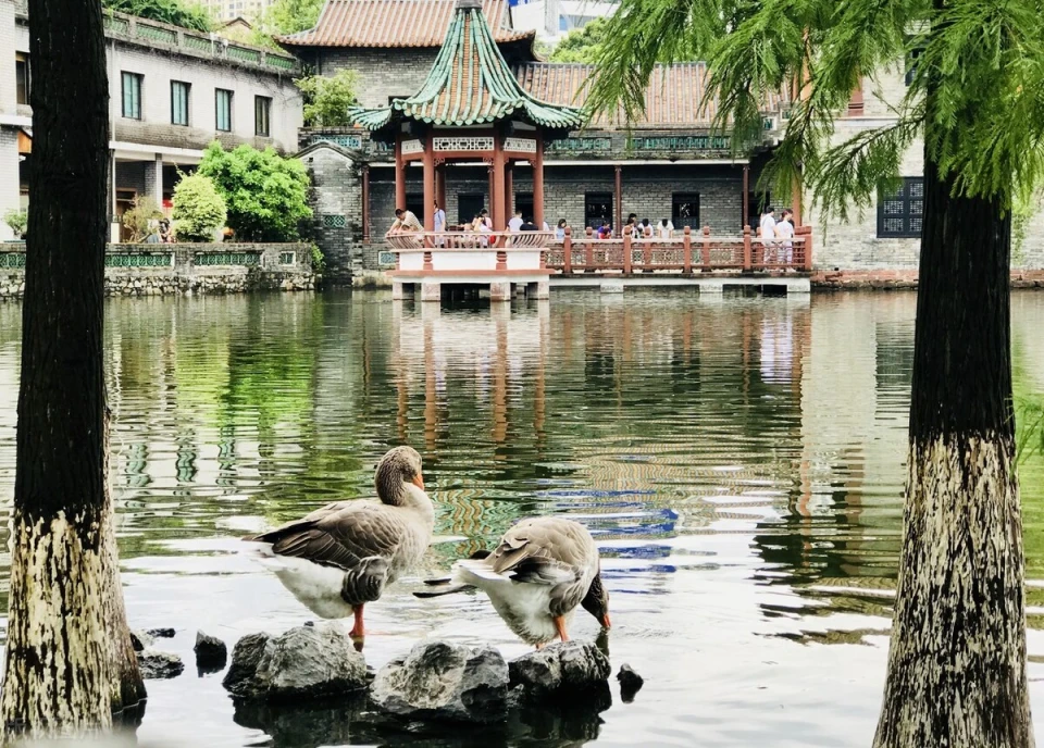 东莞，究竟是一座什么样的城？