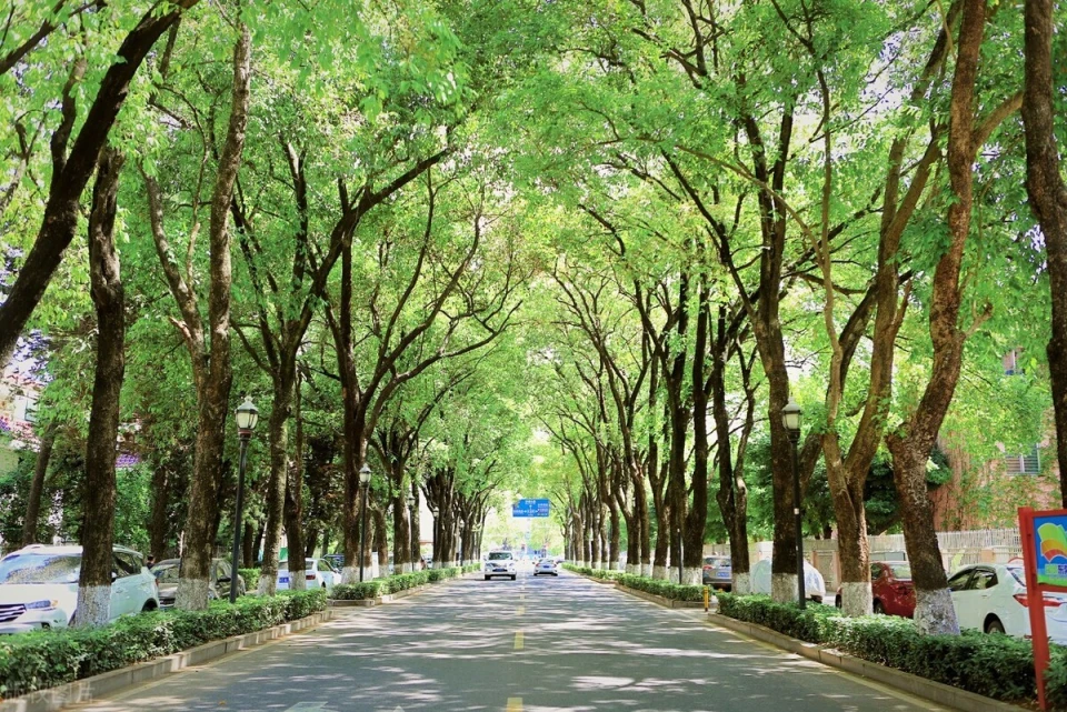 东莞，究竟是一座什么样的城？