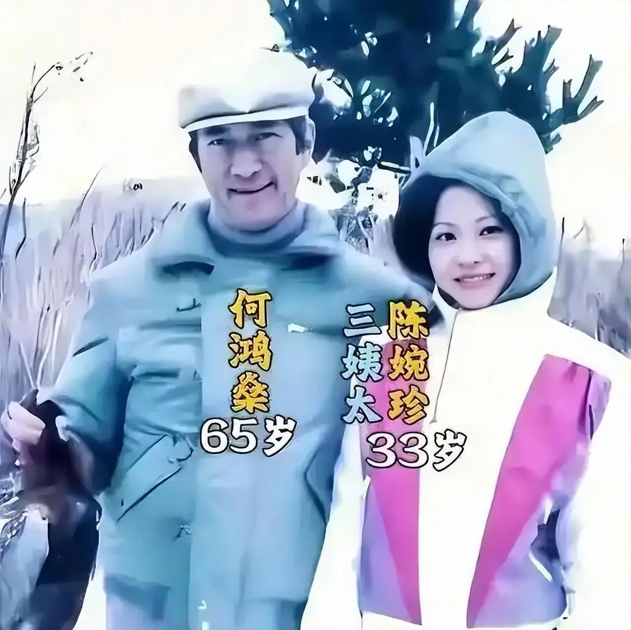 这是黎婉华和陈婉珍、梁安琪的真实模样，谁颜值更胜一筹？