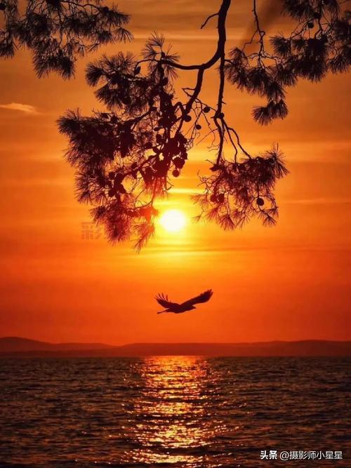 无线连接拍摄，手机也能变专业相机？