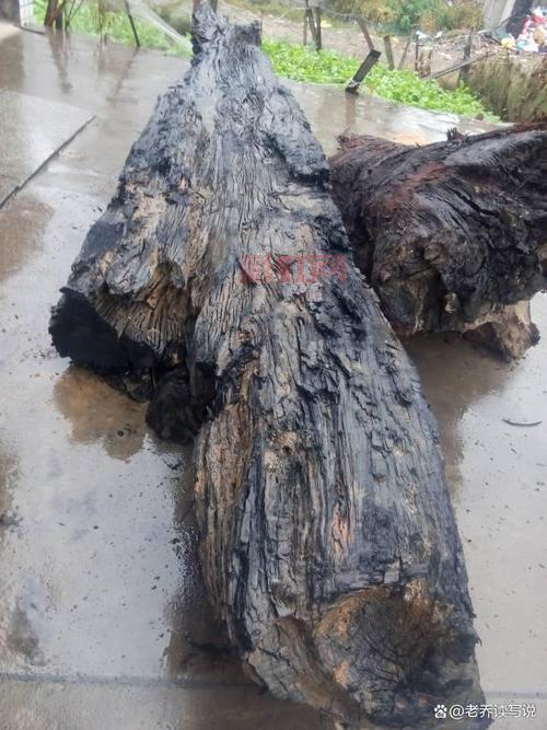 乌木之刃？乌木之刃的秘密