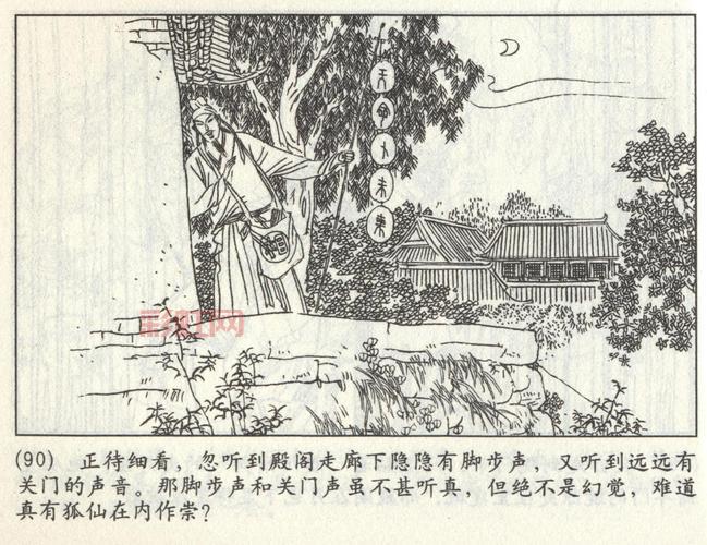 黑狐下载：完整版小说txt免费获取