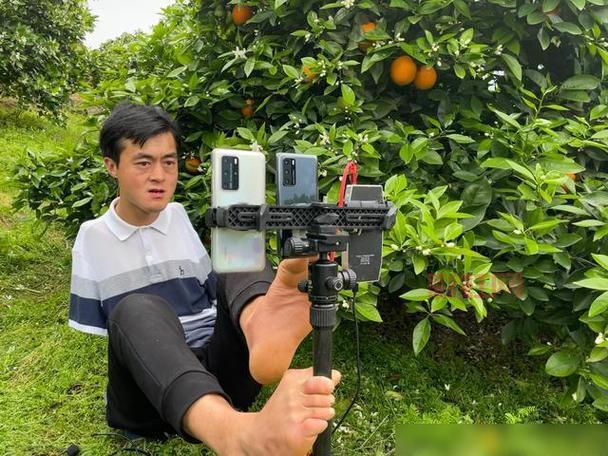 橙子直播免费下载：简单好用，轻松观看精彩节目