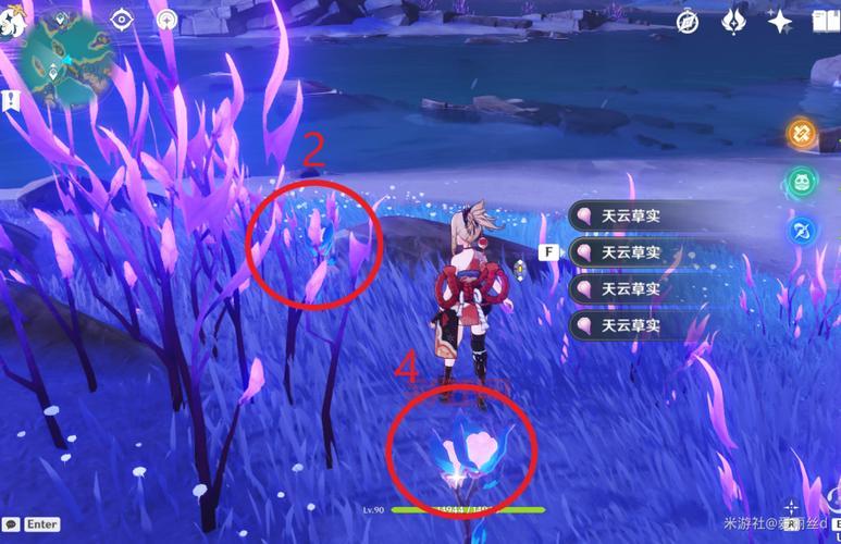 天云草实采集指南:稻妻区域特产一网打尽