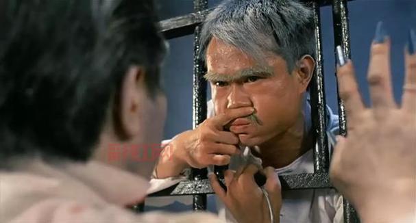 僵尸之林攻略：如何在僵尸横行中求生