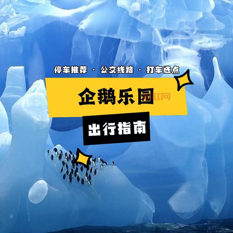 企鹅冒险岛全攻略：畅享企鹅乐园的冒险之旅