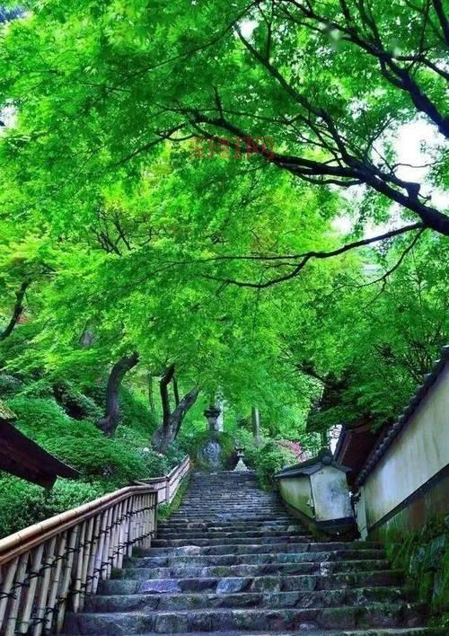 古代庶女的命运之路：从不被看重到掌握人生