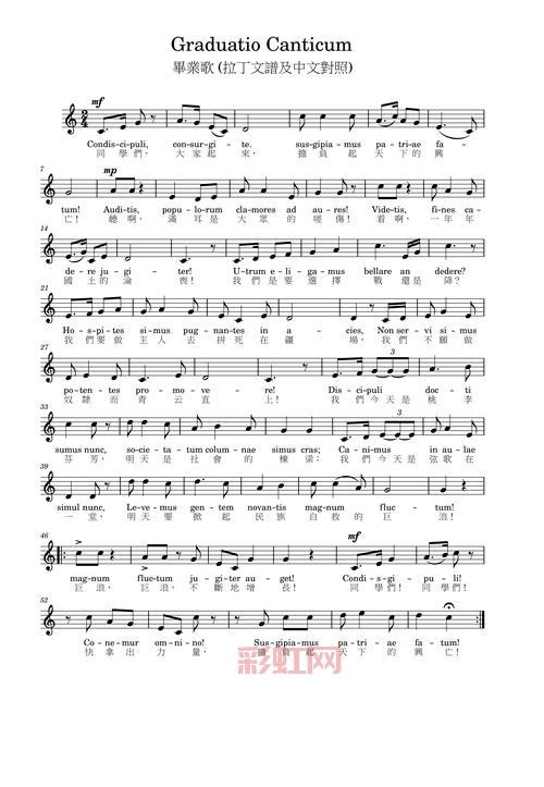 Despacito歌词逐句中文翻译:探寻热情拉丁风情之美