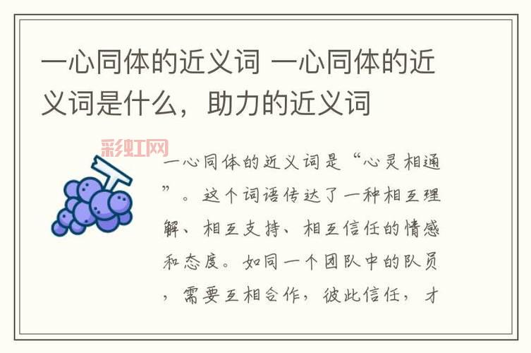 深情的近义词一览及应用：轻松掌握情感表达