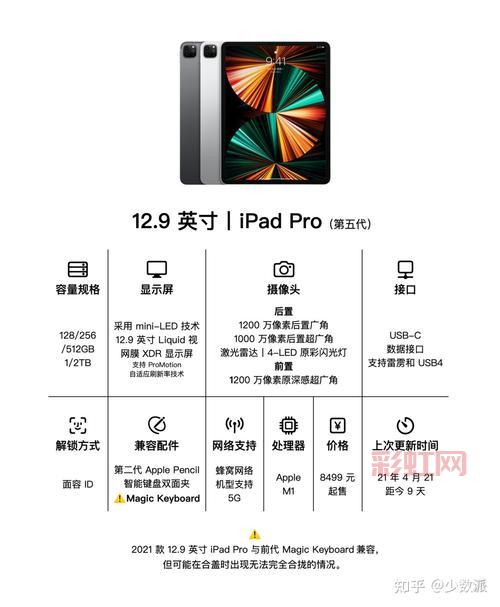 如何解决iPad没有声音的问题：全面指南