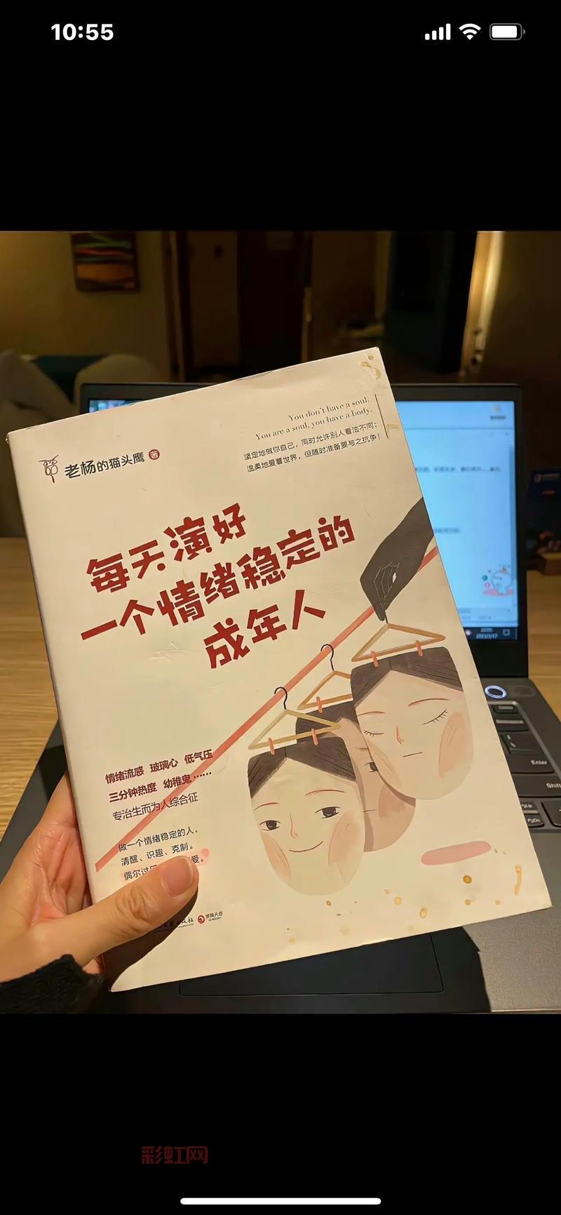 避风港：人生中的温暖避风港与情感寄托