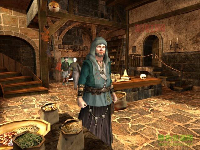 行会2：文艺复兴完整破解版下载与安装指南