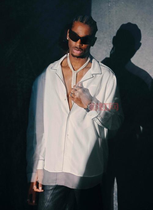 十字军头衔攻略：掌握选举法与头衔继承技巧