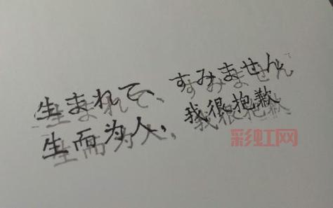 生而耀眼 我很抱歉：热情外表下的真实心情