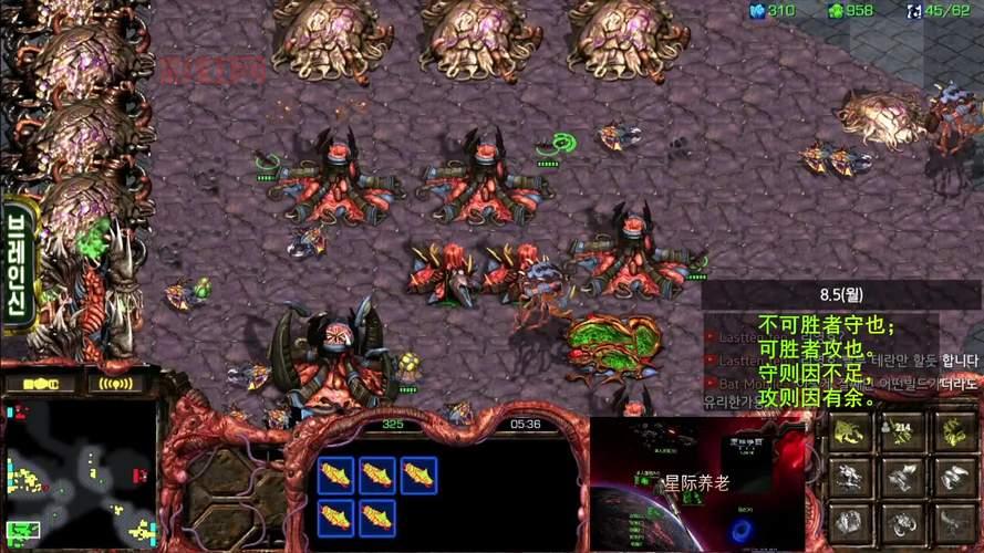 探索星际争霸游戏:三大种族争霸银河的精彩战斗