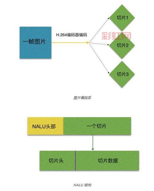 H264器：专业视频编码解码解决方案