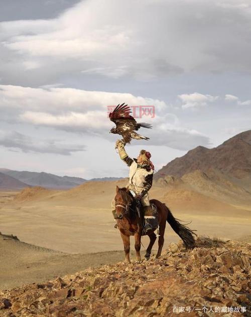 最后的猎人：回归自然的冒险之旅