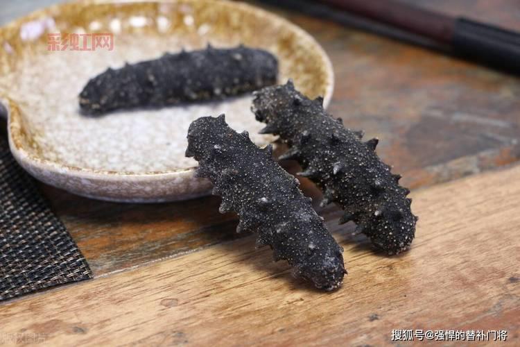 揭秘海洋夏眠者:为什么海参在夏季进入“夏眠”?