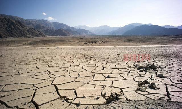 疯狂的棺材攻略大全：资源收集与生存策略