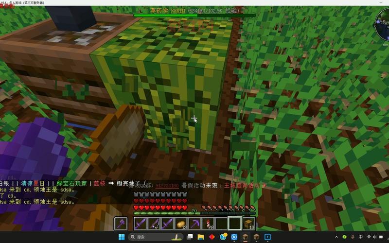 我的世界领地权限设置技巧，保护你的家园不被破坏！