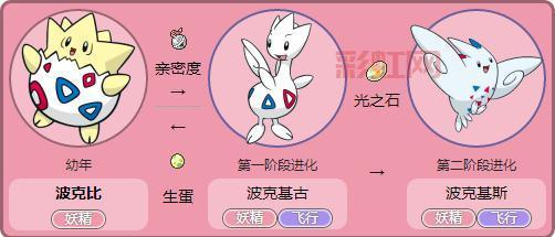 波克比几级能进化？不同形态进化等级大揭秘！