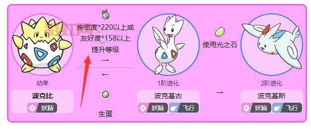 波克比几级能进化？不同形态进化等级大揭秘！