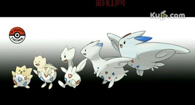 波克比几级能进化？不同形态进化等级大揭秘！