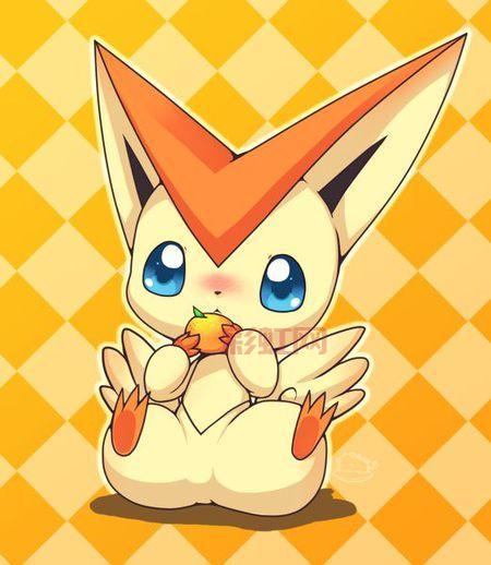 波克比几级能进化？不同形态进化等级大揭秘！