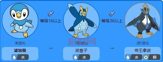 波克比几级能进化？不同形态进化等级大揭秘！