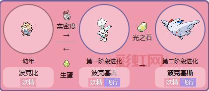 波克比几级能进化？不同形态进化等级大揭秘！