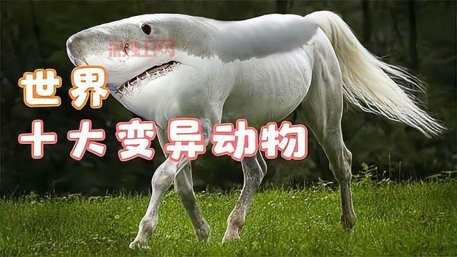 虐杀原形2游戏全解析：新的主角James如何挑战变异世界