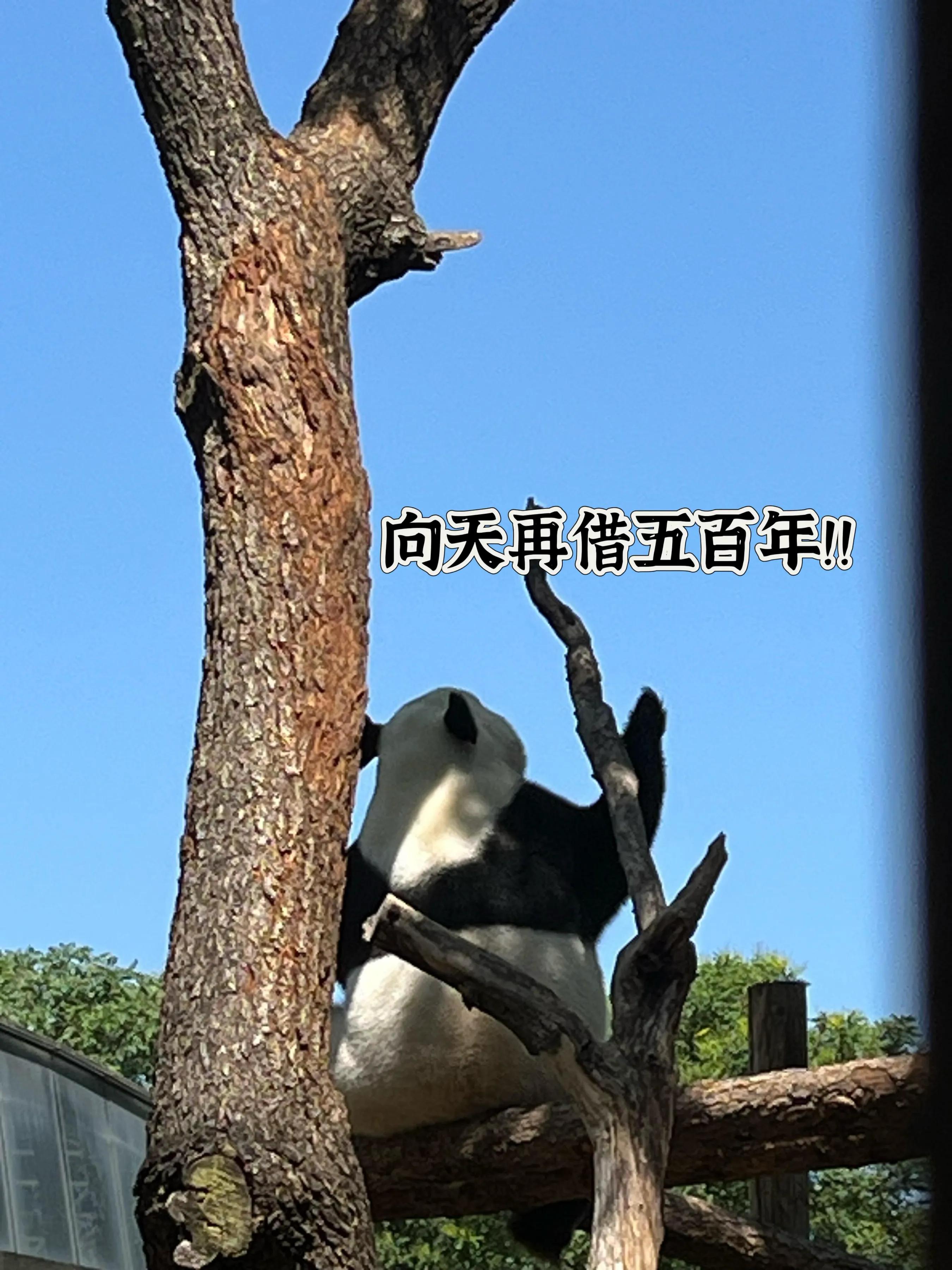 人对于时间毫无还手之力！