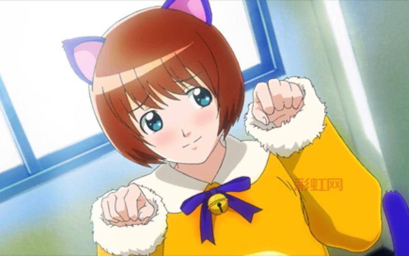 心跳回忆4新手攻略秘籍，让你少走弯路快速上手！