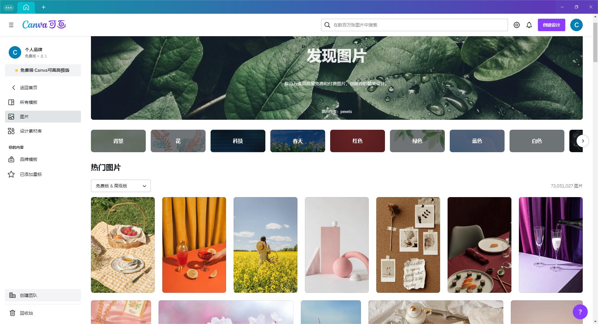 免费的图片处理软件推荐——Canva篇