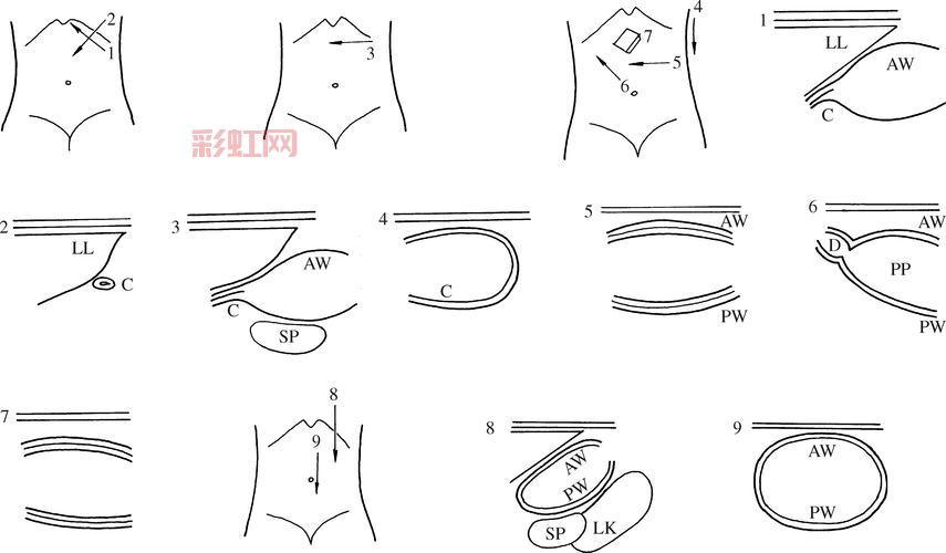 sp的八种姿态和打法详解，打法姿势一览！